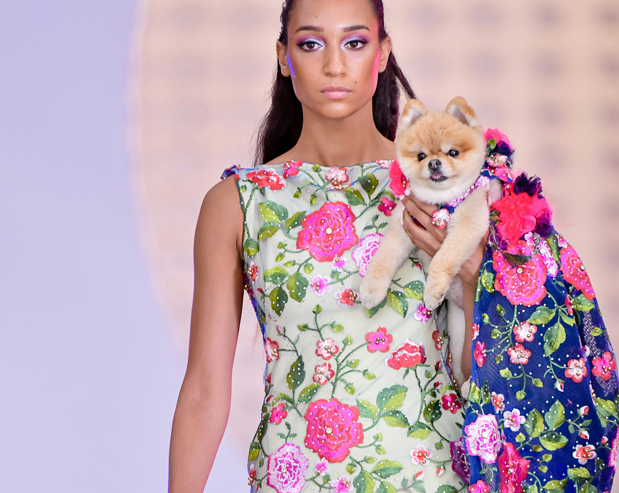 Female Fashion  Anthony Rubio Designs - Dog Fashion