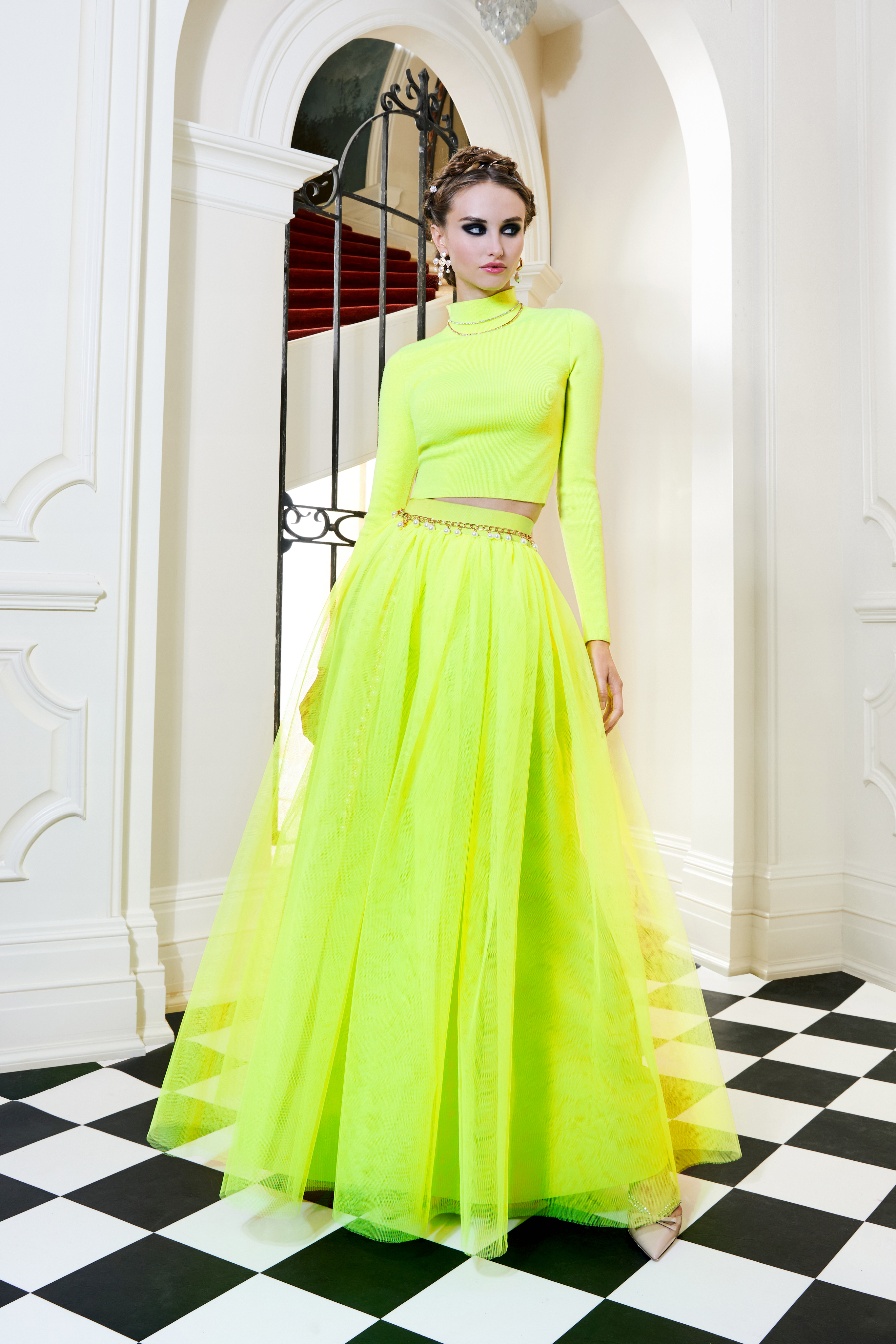 Alice and olivia discount ball gown skirt